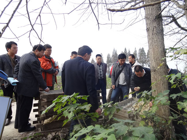 江漢—洞庭項目野外驗收獲優