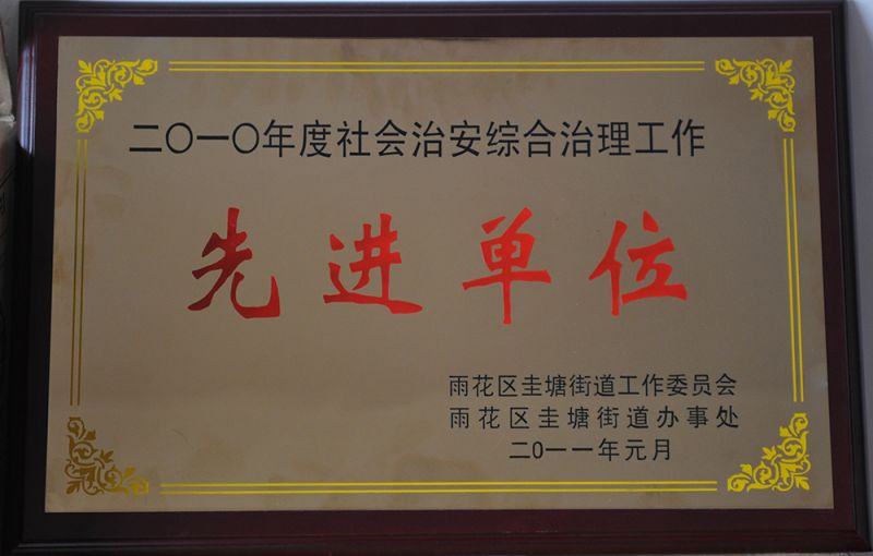 2010年度社會治安綜合治理工作先進單位（雨花區圭塘街道工作委員會）.JPG