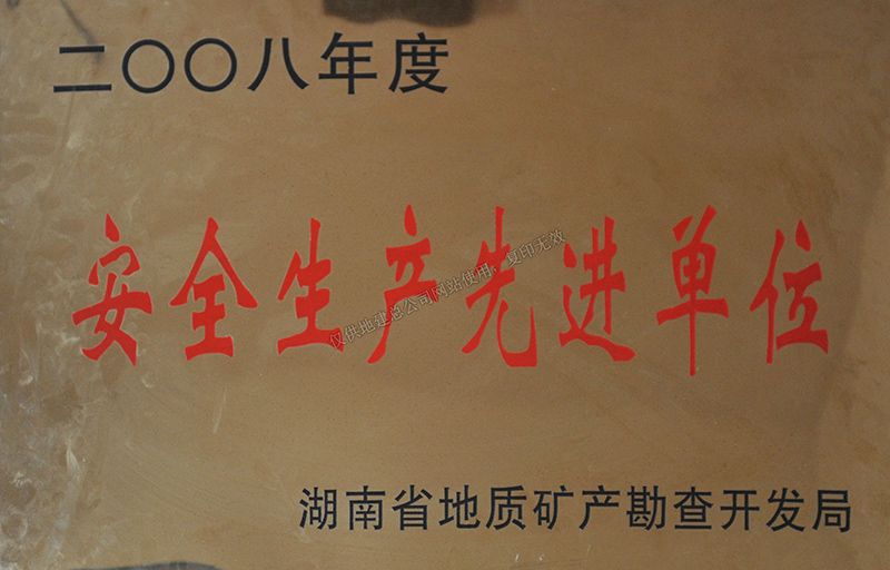 2008年度安全生產先進單位