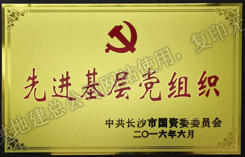 2016年度先進基層黨組織