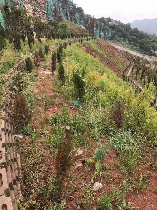 長沙縣青山鋪鎮天華礦業礦區生態修復項目